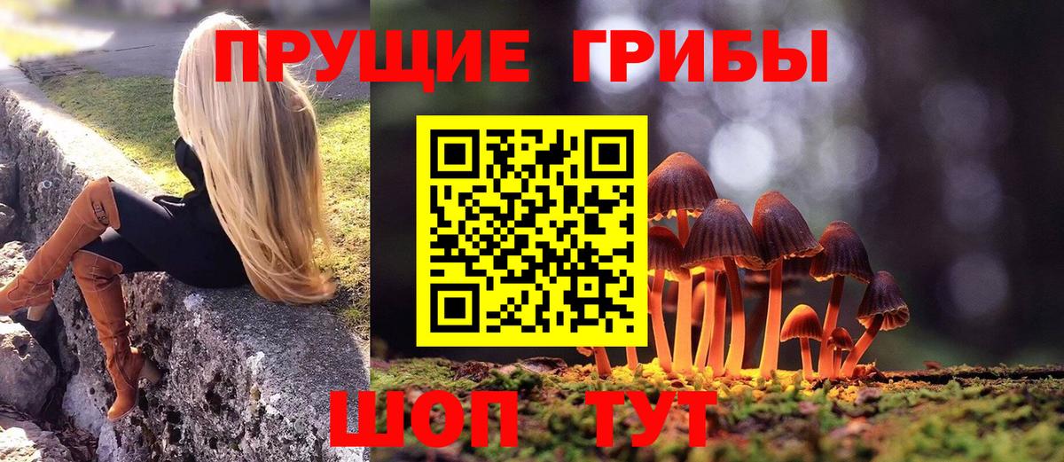 Псилоцибиновые грибы MAGIC MUSHROOMS  Вход с VPN  Изобильный 