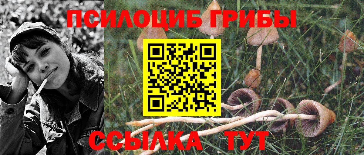 Меф   MDMA  ГАШ  Как найти закладки?  Изобильный  COCAIN  Гашиш  Вход с VPN  Конопля  ЭКСТАЗИ 